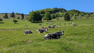 Les orages laisseront progressivement place à la douceur le jeudi 15 mai 2025, selon Météo-France.