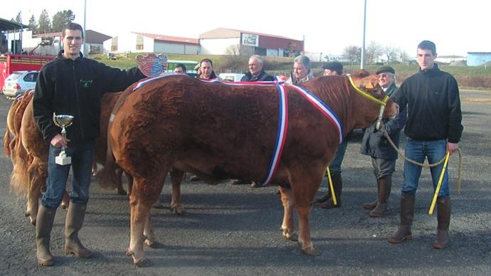 Grand prix du concours animaux de boucherie de St Yrieix la Perche