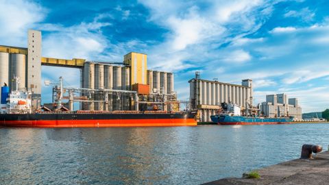 FranceAgriMer remonte son estimation des exports français de blé tendre de 100 000 t vers les pays tiers et de 127 000 t vers les pays de l’UE.