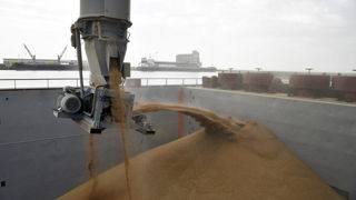 À l'exportation, le blé européen est pénalisé par la hausse de la parité entre l'euro et le dollar.