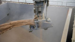 Le blé français profite de l'arrivée d'acheteurs sur la scène internationale pour tenter d'alléger la lourdeur des stocks mondiaux sur la campagne de 2024-2025.