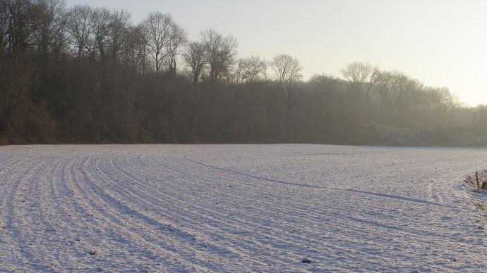 Neige sur les cultures