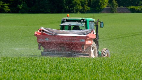 Fertilisation azotée du blé et taux de protéines : tout se joue au 3e apport Fertilisation azotée du blé et taux de protéines : tout se joue au 3e apport