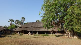 Le campement solidaire de Seleky en Basse-Casamance, en immersion dans la culture diola.