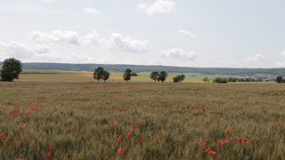 14 000 hectares exploités en agriculture biologique sont retournés à l'agriculture conventionnelle en Bourgogne-Franche-Comté depuis 2022. (photo d'illustration)