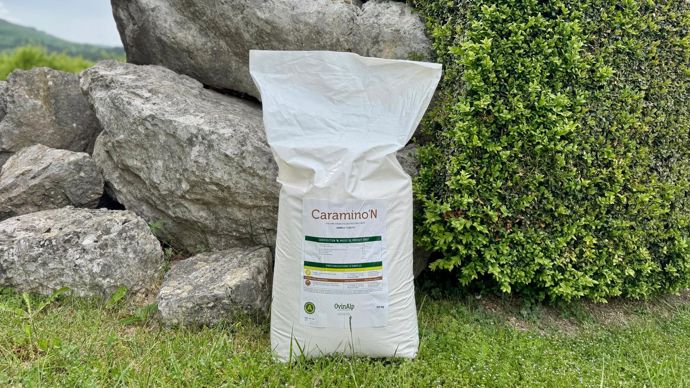 Les biostimulants foliaires et racinaires Caramino N et Caramino K d'OvinAlp doivent être appliqués aux moments les plus critiques du développement de la plante ou lorsque les conditions sont défavorables à la croissance.