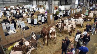 Le sanitaire reste le problème numéro un de tout regroupement d'animaux en salon, rappellent les organisateurs du Space.