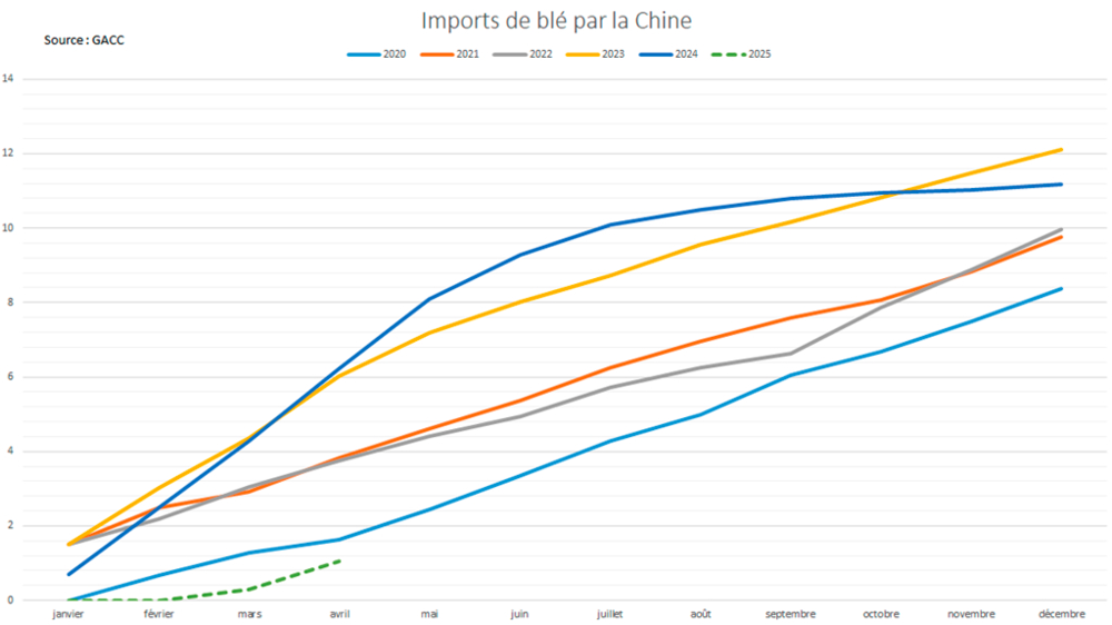 Les importations de blé en Chine marquent le pas depuis des mois.