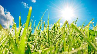 La France reste coupée en deux concernant la pousse de l'herbe. La France reste coupée en deux concernant la pousse de l'herbe.