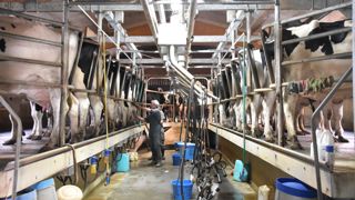 Après la crise de 2023, le porc et le lait bio sont de nouveau recherchés. Après la crise de 2023, le porc et le lait bio sont de nouveau recherchés.