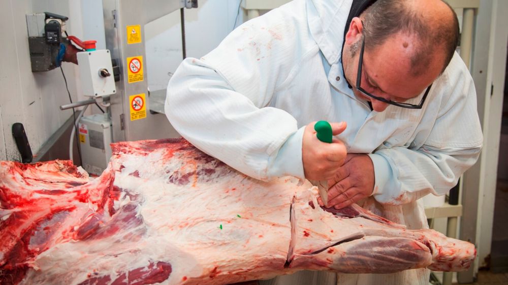 Boucher viande bovine Boucher viande bovine
