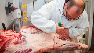 Difficile pour les industriels de combiner standardisation des process, et prise en compte individuelle de l'animal. Difficile pour les industriels de combiner standardisation des process, et prise en compte individuelle de l'animal.