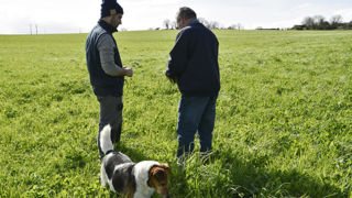 Durant cinq ans, un jeune agriculteur recevant la DJA peut bénéficier d'une réduction d'au moins 50 % de la taxe foncière sur les propriétés non bâties (TFPNB). (photo d'illustration)