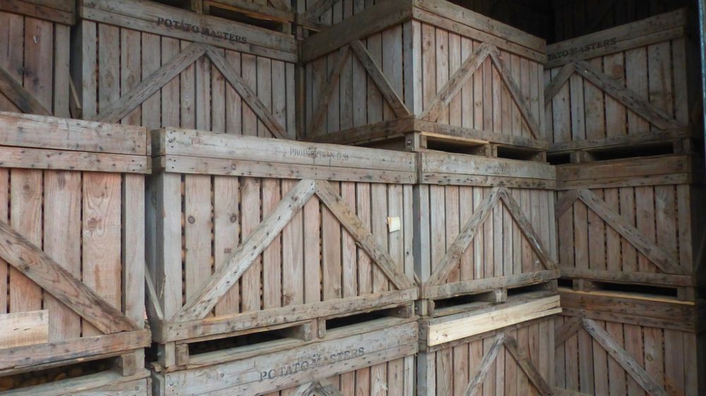 Stockage de pommes de terre