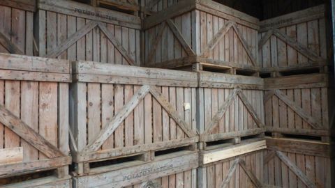 En cette fin de campagne, la concurrence devient vive entre les derniers stocks de pomme de terre alors que les primeurs commencent à arriver.