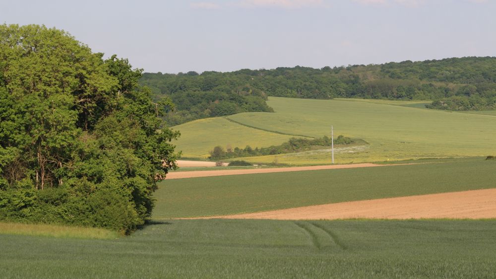 La sécheresse au nord-ouest de l'Europe soulève des inquiétudes quant aux rendements des cultures d'automne et de printemps.