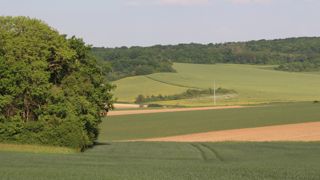 La sécheresse dans le nord-ouest de l'Europe soulève des inquiétudes quant aux rendements des cultures d'automne et de printemps.