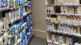 Laits végétaux et laits de vache se côtoient dans les rayons des GMS. Mais le lait de vache remporte toujours le match avec 3 litres de boissons végétales pour 76 litres de lait achetés par ménage et par an, selon FranceAgriMer.