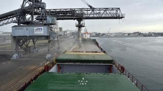 En 2024, les exportations françaises de céréales ont atteint près de 8 milliards d’euros, marquant une baisse de 10 % sur un an, indique un rapport de FranceAgriMer publié le 23 mai 2025.