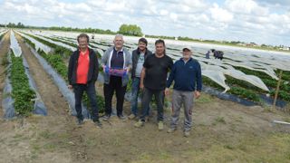 Un cueilleur entouré d'une partie de l'équipe de Terra d'Oc.