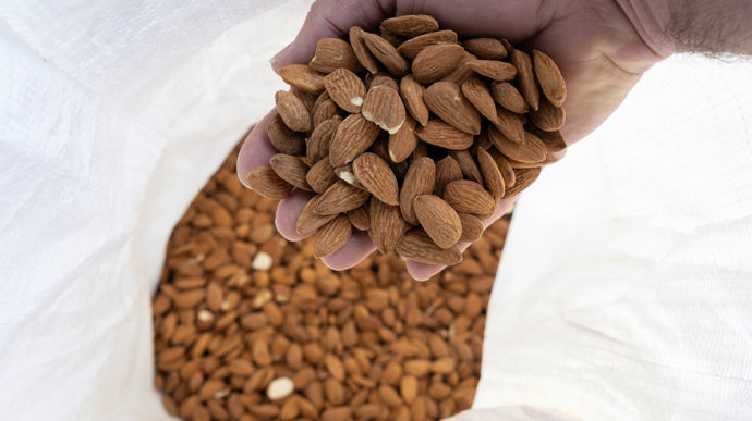 Les amandes françaises misent sur la qualité (1/3) - Dossiers
