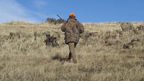 Les chasseurs se sont plaints à plusieurs reprises ces derniers mois de ne plus pouvoir payer seuls les dégâts de gibiers. Les chasseurs se sont plaints à plusieurs reprises ces derniers mois de ne plus pouvoir payer seuls les dégâts de gibiers.