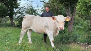 A son installation, Sandra a introduit l'IA sur la ferme, et débuté le contrôle de performances.