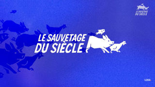 L'association L214 lande une nouvelle campagne de communication baptisée « Le Sauvetage du siècle ». L'association L214 lande une nouvelle campagne de communication baptisée « Le Sauvetage du siècle ».