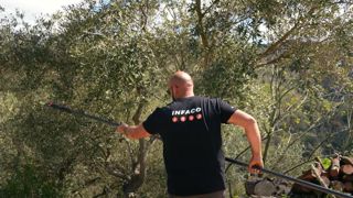 Choisir une perche pour une taille sans effort