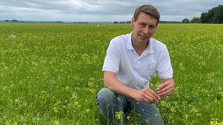 Pour Aurélien Berthe, ici dans une association lentille-cameline, la recherche de valeur ajoutée passe par la vente directe, la transformation à la ferme, la multiplication de semences et la contractualisation avec des éleveurs. Pour Aurélien Berthe, ici dans une association lentille-cameline, la recherche de valeur ajoutée passe par la vente directe, la transformation à la ferme, la multiplication de semences et la contractualisation avec des éleveurs.