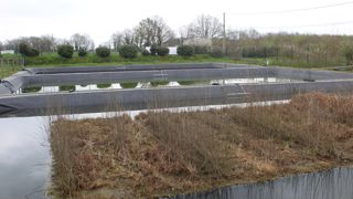 Au bout de quatre ans, fin mars 2025, les plantes du radeau dépérissaient en raison d'un manque de nutriments, le bassin n'étant alimenté que par de l'eau de pluie.