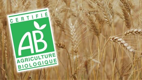 Les superficies en bio ont reculé de 56 197 ha en 2024, à 2,7 millions d'hectares, après un recul de 54 248 ha en 2023, première année de recul depuis le début du bio. Les superficies en bio ont reculé de 56 197 ha en 2024, à 2,7 millions d'hectares, après un recul de 54 248 ha en 2023, première année de recul depuis le début du bio.