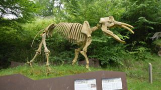 Le paléosite de Sansan offre une randonnée familiale, qui mène jusqu'au point d'orgue, la réplique du mastodonte dont les ossements fossilisés ont été retrouvés ici.