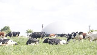 Les méthaniseurs permettent de réduire la consommation d'énergie des exploitations. (Ici, sur la ferme des peupliers en Normandie).