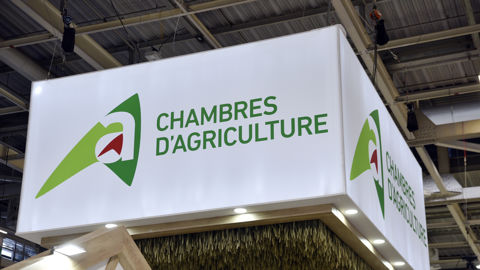 Le Collectif Nourrir dénonce la répartition des sièges au sein des chambres d'agriculture, après les dernières élections.