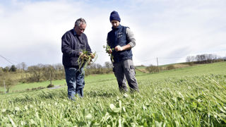 L'accès à la terre est facilité par la famille, y compris pour une partie des Nima.