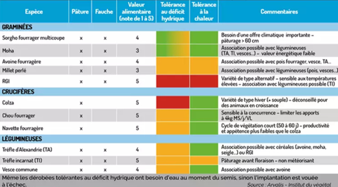 Comparaison d'espèces fourragères en dérobées