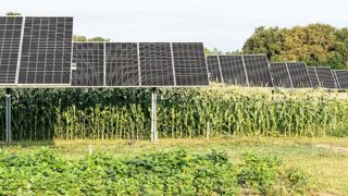 Les nouvelles installations agrivoltaïques seront stoppées par un moratoire si la loi sur la feuille de route énergétique est votée. Les nouvelles installations agrivoltaïques seront stoppées par un moratoire si la loi sur la feuille de route énergétique est votée.