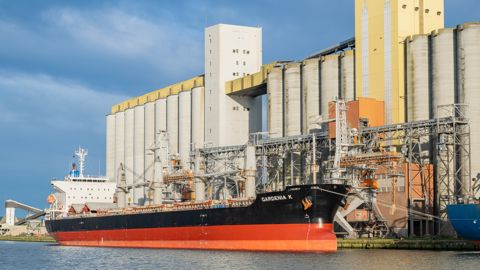 Les exportations de céréales françaises sont en hausse en cette fin de campagne 2024/25