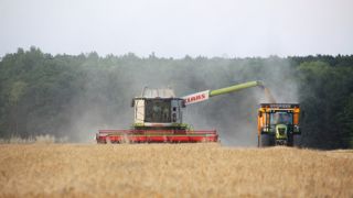 Le rendement européen en orge d'hiver est estimé à 53,8 q/ha en moyenne par la Commission européenne et à 65,5 q/ha en France.