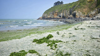 L’État est condamné « en raison de ses carences dans la mise en œuvre de la réglementation [...] destinée à protéger les eaux de toute pollution d’origine agricole ». (photo d'illustration)
