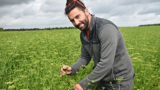 Dorian Sagot et ses associés sèment une féverole d’hiver en novembre, puis du persil à la fin de mars. Celui-ci a le temps de bien s’enraciner et de mieux résister aux coups de chaud de l’été.