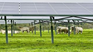 Le moratoire sur les nouvelles installations agrivoltaïques a largement contribué au rejet de la PPL Gremillet. Le moratoire sur les nouvelles installations agrivoltaïques a largement contribué au rejet de la PPL Gremillet.