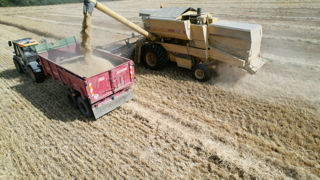 La récolte d'orge d'hiver a débuté à Azay-sur-Cher (Indre-et-Loire) sous un temps caniculaire. Le retour du terrain est optimiste en France.