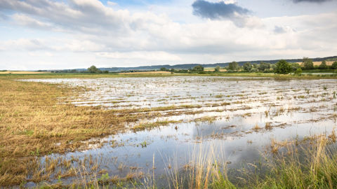 95 communes sont reconnues en état de catastrophe naturelle, pour des inondations et coulées de boues entre autres.