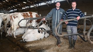 Thomas et Germain Trouvray soulignent que la couleur du miscanthus peut donner l’impression d’un salissement mais qu’il reste sec et les animaux propres.