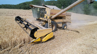 Les récoltes d'orge d'hiver ont une semaine à 10 jours d'avance cette année.