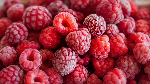 Selon la Coordination rurale, les tonnages écoulés par le grossiste condamné représentent 5 % de la production française annuelle de fruits rouges. Selon la Coordination rurale, les tonnages écoulés par le grossiste condamné représentent 5 % de la production française annuelle de fruits rouges.