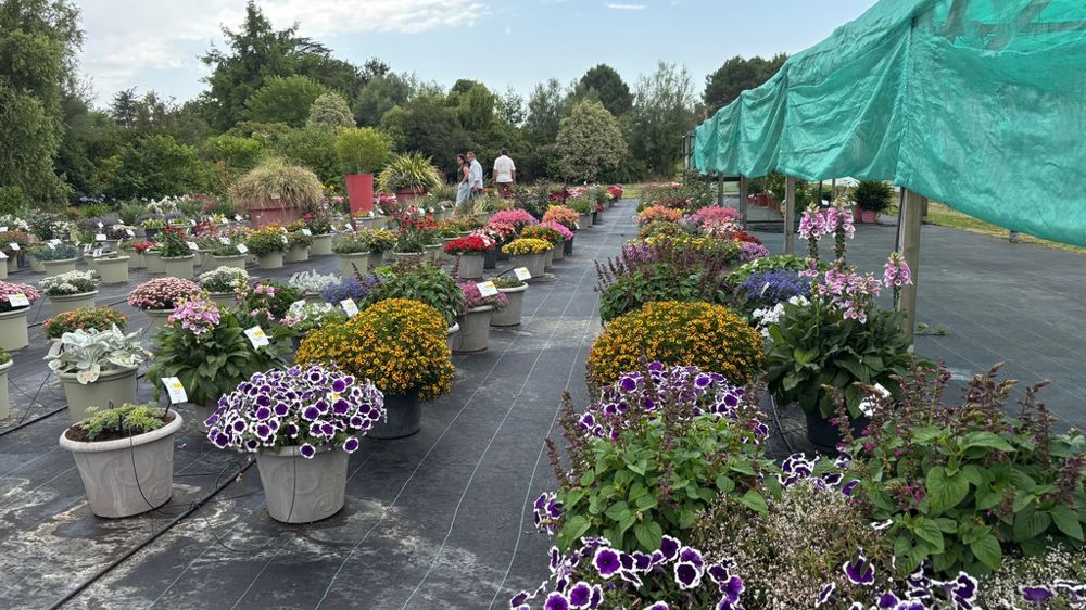 Les essais menés à la station Astredhor Sud-Ouest répondent à des défis majeurs comme l’adaptation de la palette végétale au changement climatique, par exemple en sélectionnant des plantes résistantes à la sécheresse (projet Jardin Ec’Eau).