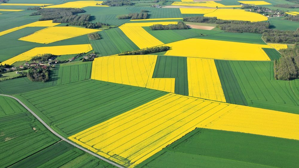 Vue aérienne sur des parcelles agricoles